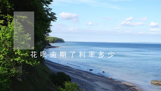 花呗逾期了利率多少