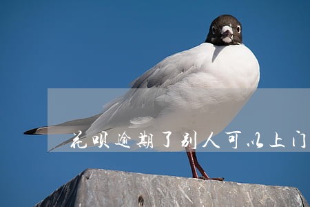 花呗逾期了别人可以上门吗 花呗逾期了别人可以上门吗