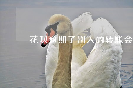 花呗逾期了别人的转账会自动扣吗 花呗逾期了别人的转账会自动扣吗
