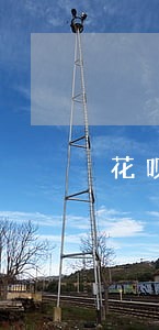 花呗逾期了办储蓄卡能办吗 花呗逾期了办储蓄卡能办吗