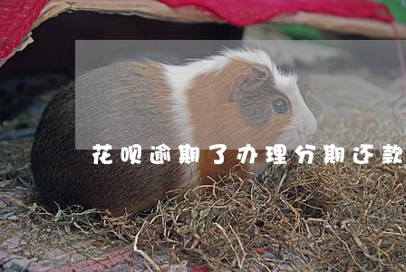 花呗逾期了办理分期还款 花呗逾期了办理分期还款