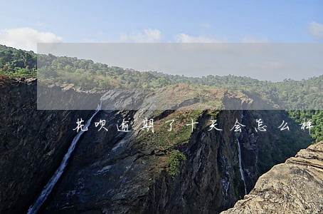 花呗逾期了十天会怎么样 花呗逾期了十天会怎么样