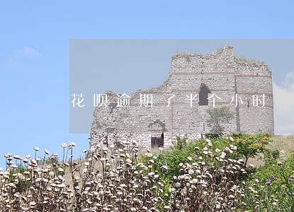 花呗逾期了半个小时