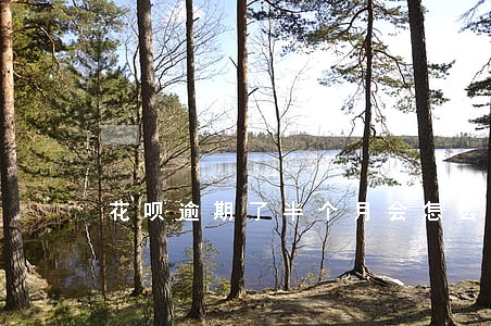 花呗逾期了半个月会怎么 花呗逾期了半个月会怎么