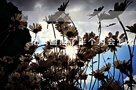 花呗逾期了半个月会怎么样 花呗逾期了半个月会怎么样