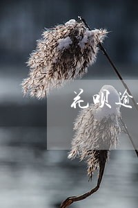 花呗逾期了半小时 花呗逾期了半小时