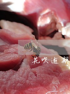 花呗逾期了半年会影响房袋吗 花呗逾期了半年会影响房袋吗