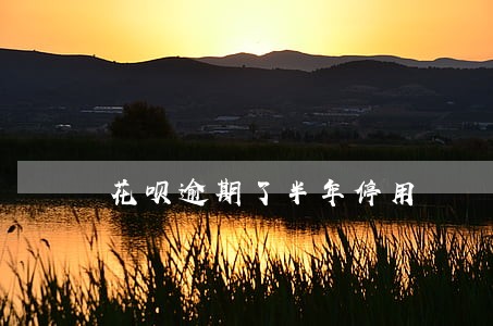 花呗逾期了半年停用 花呗逾期了半年停用