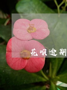 花呗逾期了半年多久才能回复 花呗逾期了半年多久才能回复