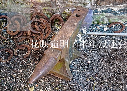 花呗逾期了半年没还会怎么样 花呗逾期了半年没还会怎么样