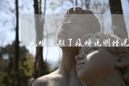 花呗逾期了及时说明情况