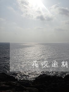 花呗逾期了只有五百分芝麻分 花呗逾期了只有五百分芝麻分