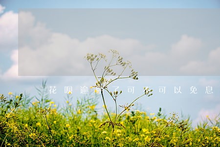 花呗逾期了可不可以免息归还本金 花呗逾期了可不可以免息归还本金