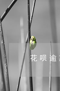 花呗逾期了可不可以协商 花呗逾期了可不可以协商