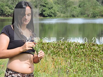 花呗逾期了可以0分期买手机吗