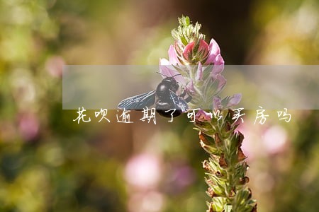 花呗逾期了可以买房吗 花呗逾期了可以买房吗