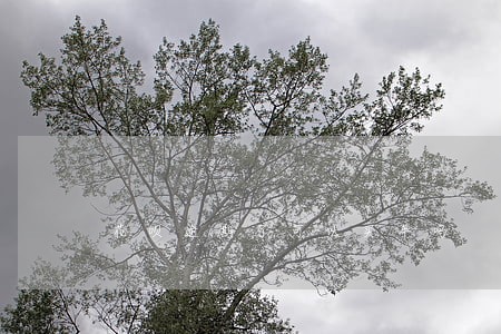 花呗逾期了可以买车吗 花呗逾期了可以买车吗