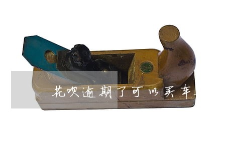 花呗逾期了可以买车票不