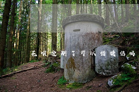 花呗逾期了可以借捷信吗 花呗逾期了可以借捷信吗