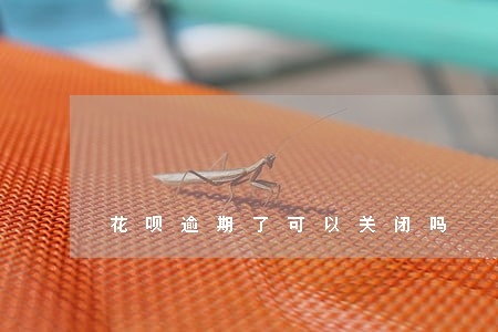 花呗逾期了可以关闭吗 花呗逾期了可以关闭吗