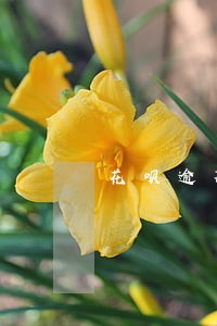 花呗逾期了可以办理下月再还吗 花呗逾期了可以办理下月再还吗