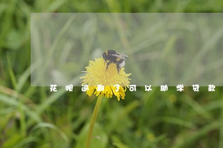 花呗逾期了可以助学贷款 花呗逾期了可以助学贷款