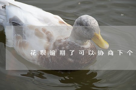 花呗逾期了可以协商下个月还吗 花呗逾期了可以协商下个月还吗