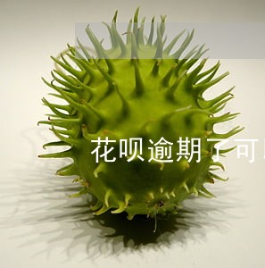 花呗逾期了可以取消吗 花呗逾期了可以取消吗