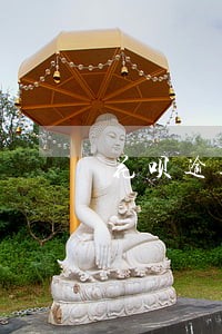 花呗逾期了可以只还本金吗 花呗逾期了可以只还本金吗