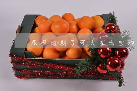 花呗逾期了可以在淘宝购物吗 花呗逾期了可以在淘宝购物吗