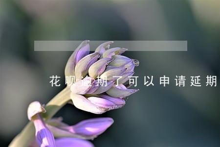 花呗逾期了可以申请延期还款吗 花呗逾期了可以申请延期还款吗