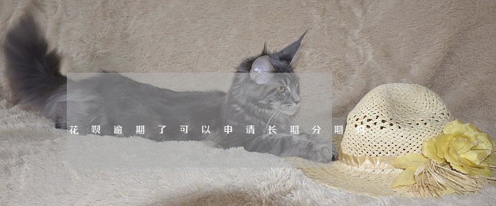 花呗逾期了可以申请长期分期吗 花呗逾期了可以申请长期分期吗