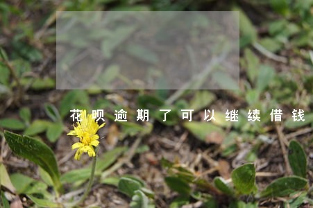 花呗逾期了可以继续借钱吗 花呗逾期了可以继续借钱吗
