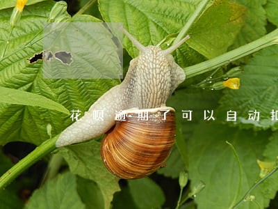 花呗逾期了可以自动扣款吗 花呗逾期了可以自动扣款吗
