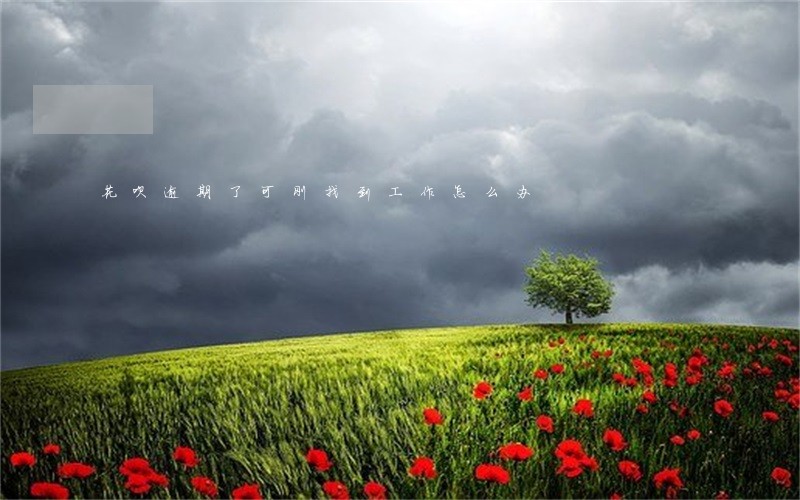 花呗逾期了可刚找到工作怎么办 花呗逾期了可刚找到工作怎么办