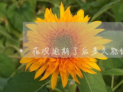 花呗逾期了后多久能恢复正常 花呗逾期了后多久能恢复正常