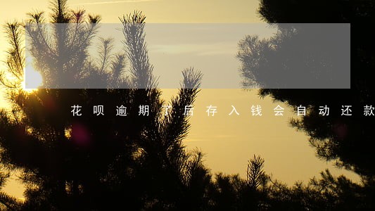 花呗逾期了后存入钱会自动还款吗 花呗逾期了后存入钱会自动还款吗