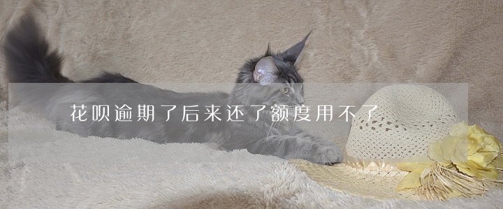 花呗逾期了后来还了额度用不了