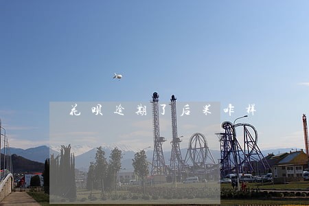花呗逾期了后果咋样 花呗逾期了后果咋样