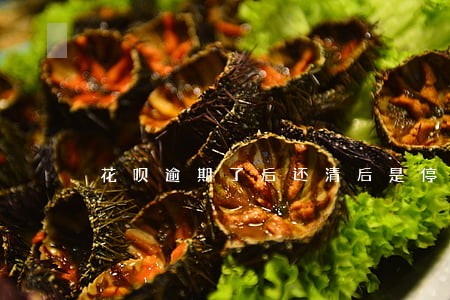 花呗逾期了后还清后是停用了吗 花呗逾期了后还清后是停用了吗