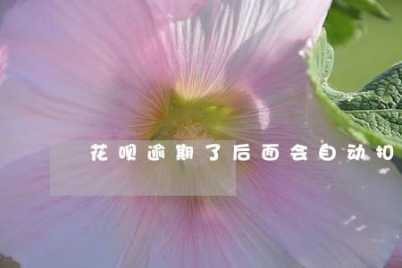 花呗逾期了后面会自动扣费吗 花呗逾期了后面会自动扣费吗