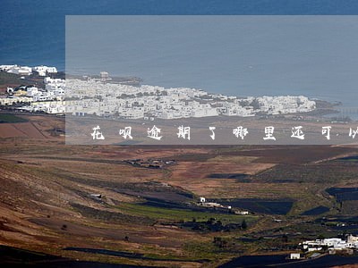 花呗逾期了哪里还可以借钱 花呗逾期了哪里还可以借钱