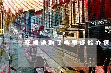 花呗逾期了哪里还能办信用卡 花呗逾期了哪里还能办信用卡