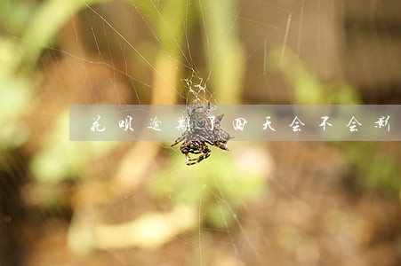 花呗逾期了四天会不会影响车贷 花呗逾期了四天会不会影响车贷