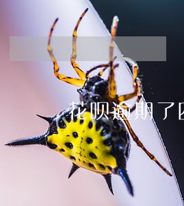 花呗逾期了四天就无法购物了 花呗逾期了四天就无法购物了