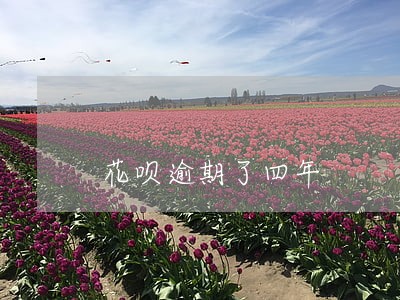 花呗逾期了四年 花呗逾期了四年