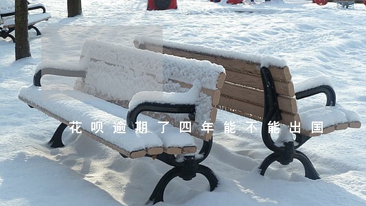 花呗逾期了四年能不能出国 花呗逾期了四年能不能出国