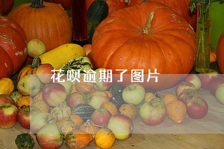 花呗逾期了图片 花呗逾期了图片