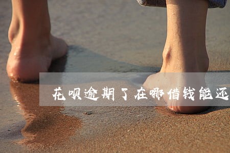 花呗逾期了在哪借钱能还花呗 花呗逾期了在哪借钱能还花呗