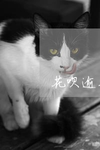 花呗逾期了在微粒贷有没有影响 花呗逾期了在微粒贷有没有影响
